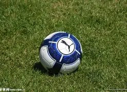 开云体育官,网下载,产品,开云体育,开云体育官网,开云体育app,开云体育平台,KAIYUN,SPORTS,kaiyun登录入口