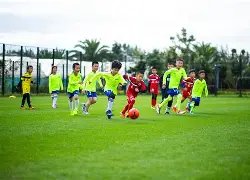 东营华泰苯,胺价格调整,涨幅达,开云体育,开云体育官网,开云体育app,开云体育平台,KAIYUN,SPORTS,kaiyun登录入口