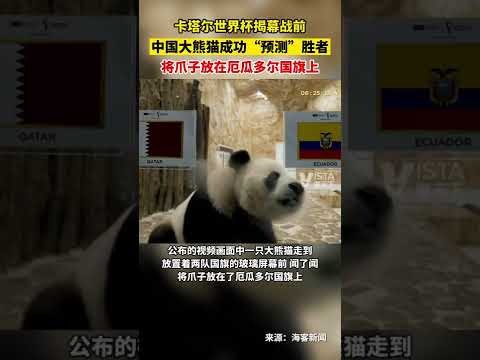 中国女足惜,败墨西哥队,排名末尾引,开云体育,开云体育官网,开云体育app,开云体育平台,KAIYUN,SPORTS,kaiyun登录入口