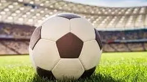 开云体育官网下载 产品 101144 pnb