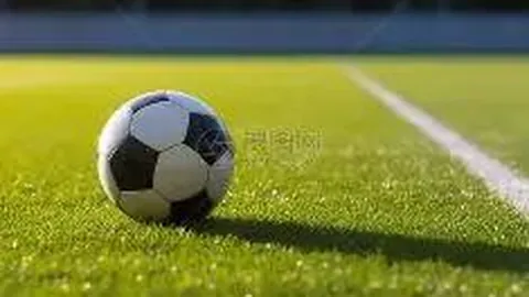 开云体育官网下载 产品 101338 9yp