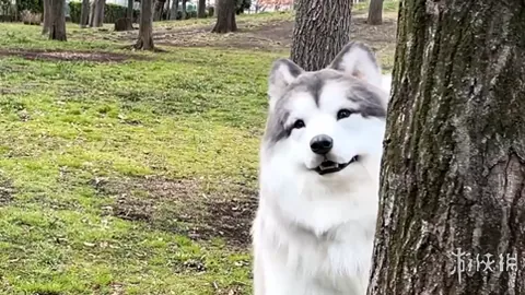 开云体育官网下载 资讯 105913 741